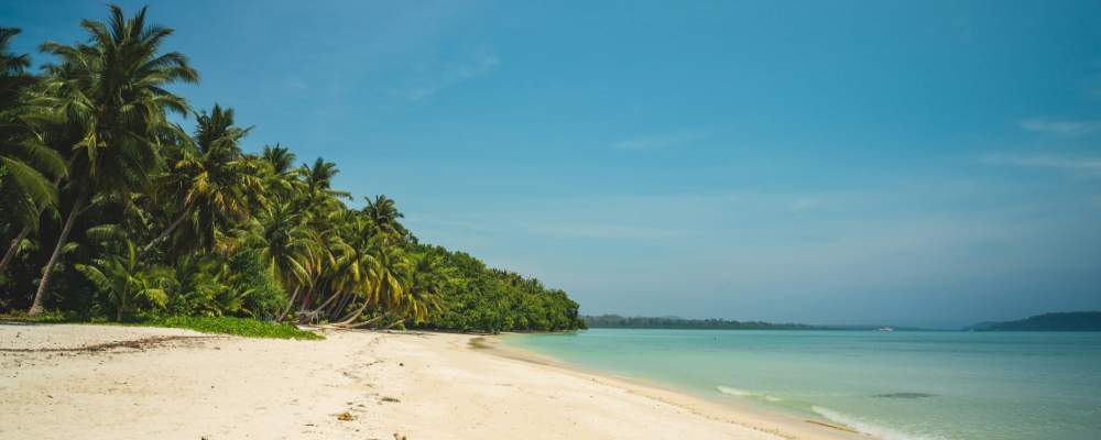 Havelock Island – The heart and soul of the Andamans