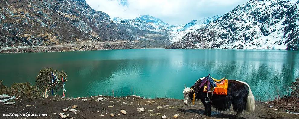 Explore Gangtok Tour