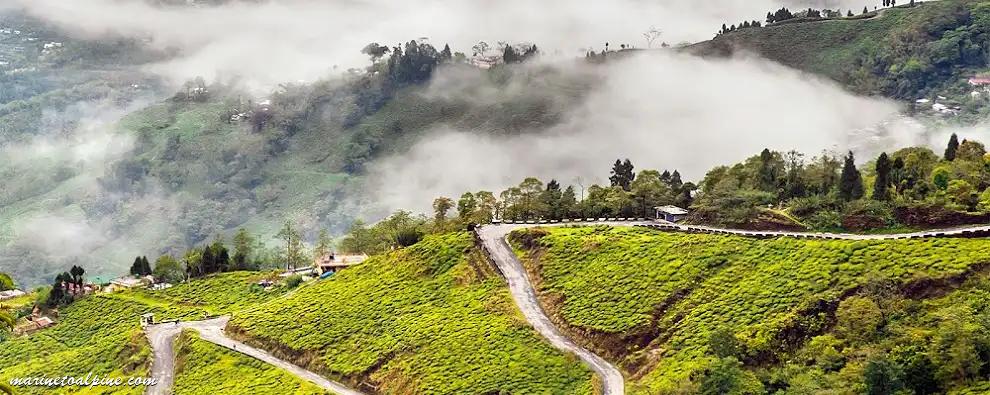 DarjeelingÂ Mirik Tour 3N 4DÂ 