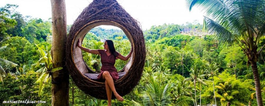 Bali Swings